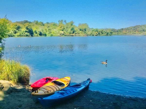 /Images/uploads/Sonoma County Regional Parks Foundation/springlake50/entries/29179thumb.jpg